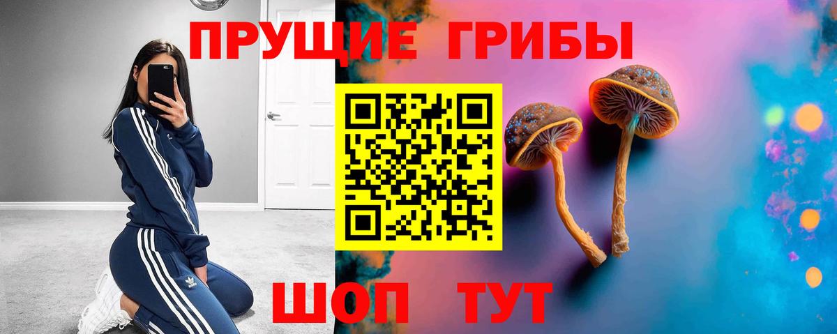Нововоронеж  Псилоцибиновые грибы мицелий  Вход с VPN  Псилоцибиновые грибы прущие грибы 