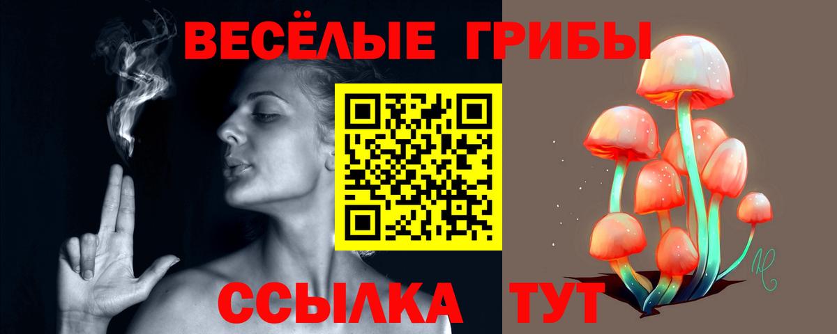 Галлюциногенные грибы GOLDEN TEACHER Нововоронеж